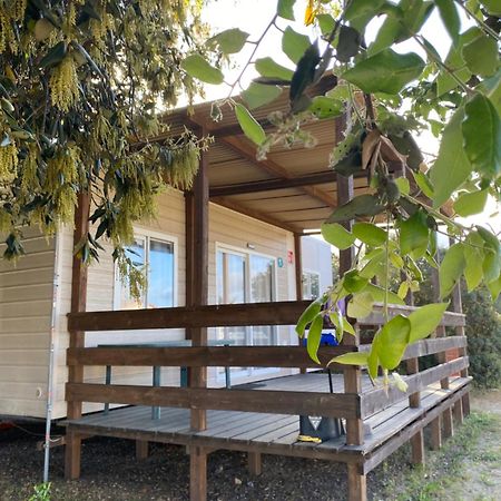 Camping Internazionale Di Castelfusano Lido di Ostia Exterior foto